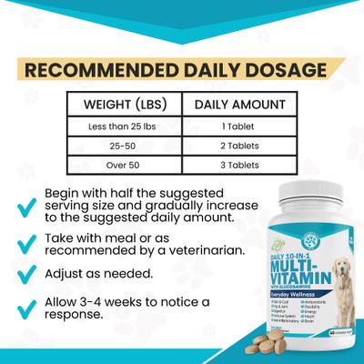 10-In-1 Multi-vitamin + Glucosamine Liver Flavor Dog Supplement, 60 count