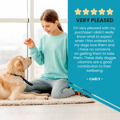 10-In-1 Multi-vitamin + Glucosamine Liver Flavor Dog Supplement, 60 count