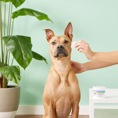 Almohadillas estériles para lavado de ojos para perros y gatos, 90 unidades