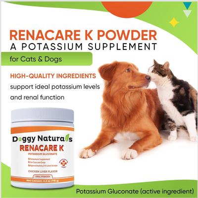 RenaCare K Powder Kidney Cat & Dog Supplement, 4.2-oz