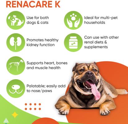 RenaCare K Powder Kidney Cat & Dog Supplement, 4.2-oz