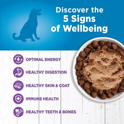 Paquete: Alimento seco para perros Wellness Simple Limited Ingredient Diet Grain-Free Turkey & Potato Formula, bolsa de 26 lb + Alimento enlatado para perros Wellness Simple Limited Ingredient Diet Grain-Free Turkey & Potato Formula, caja de 12,5 oz