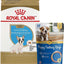 Paquete: Alimento seco para cachorros Royal Canin French Bulldog + Mordedor para cachorros N-Bone con sabor a pollo