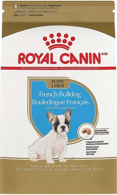 Paquete: Alimento seco para cachorros Royal Canin French Bulldog + Mordedor para cachorros N-Bone con sabor a pollo