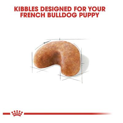 Paquete: Alimento seco para cachorros Royal Canin French Bulldog + Mordedor para cachorros N-Bone con sabor a pollo