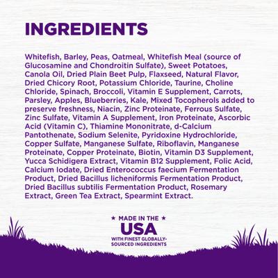 Bundle: Wellness Shine Skin & Coat Bacon Flavor Chew Supplements + Complete Health Whitefish & Sweet Potato Recipe Dry Dog Food