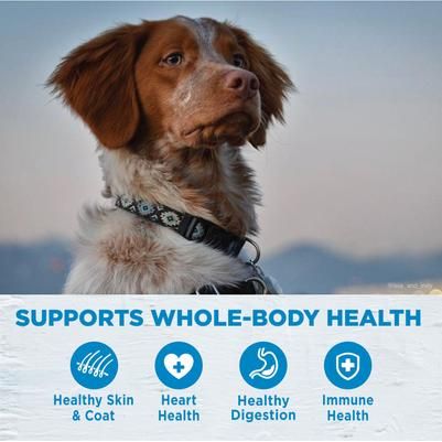 Paquete: Alimento seco para perros Wellness Simple Limited Ingredient Diet Lamb & Oatmeal Formula, bolsa de 26 lb + Alimento enlatado para perros Wellness Simple Limited Ingredient Diet Lamb & Oatmeal Formula, caja de 12,5 oz