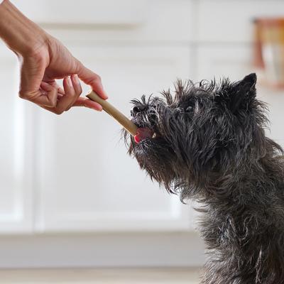 Rawhide-Free Rolled Sticks with Chamomile & Lavender Extract Flavor Dog Treats, 16 count