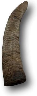 Goat Horn Dog Treats, Medium