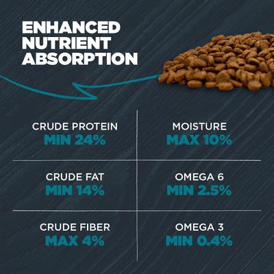 Complete & Balanced Diet Adult Chicken Meal & Brown Rice with Ancient Grains Recipe Dry Dog Food, 4.5-lb bag