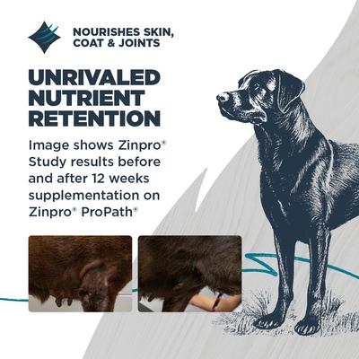 Complete & Balanced Diet Adult Chicken Meal & Brown Rice with Ancient Grains Recipe Dry Dog Food, 4.5-lb bag