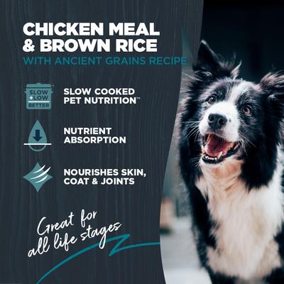 Complete & Balanced Diet Adult Chicken Meal & Brown Rice with Ancient Grains Recipe Dry Dog Food, 4.5-lb bag