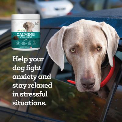 Calming Well Bites Dog Supplement, 60 count
