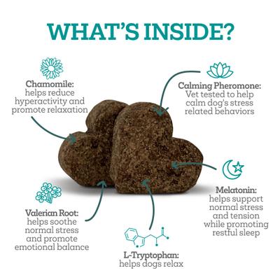 Calming Well Bites Dog Supplement, 60 count