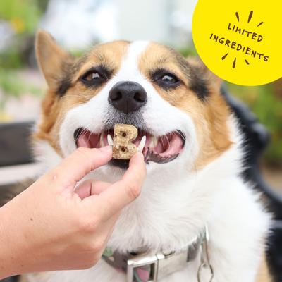 Galletas crujientes para perros Everyday Bac'N Nutty Biscuits, bolsa de 5 oz