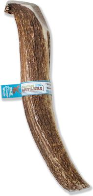 Whole Elk Antler Dog Chews, 9.5 - 10.5 inch