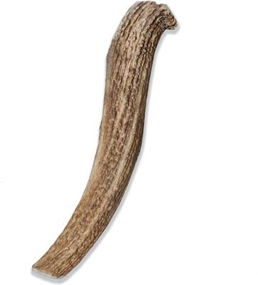 Whole Elk Antler Dog Chews, 9.5 - 10.5 inch