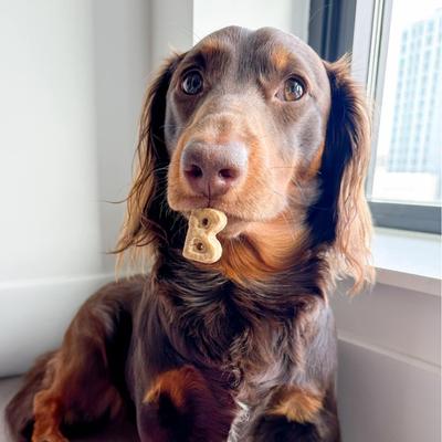 Galletas crujientes para perros Everyday Say Moooo Biscuits, bolsa de 5 oz