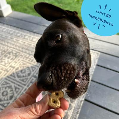 Everyday Sunday Roast Biscuits Crunchy Dog Treats, 5-oz bag