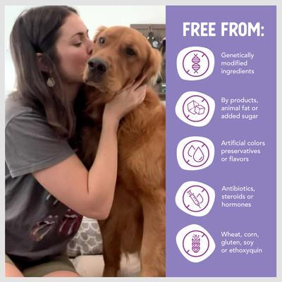 Mediterranean Roast Lamb Recipe Grain-Free Wet Dog Food, 12.5-oz can, case of 12