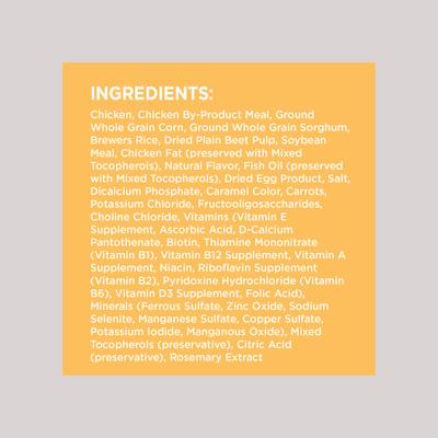 Paquete: Alimento seco para cachorros Iams Proactive Health con fórmula alta en proteínas y DHA con pollo real + Alimento húmedo clásico para cachorros con pollo molido y arroz