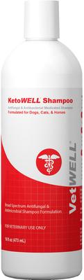 KetoWell Antiseptic Dog, Cat & Horse Shampoo, 16-fl oz bottle