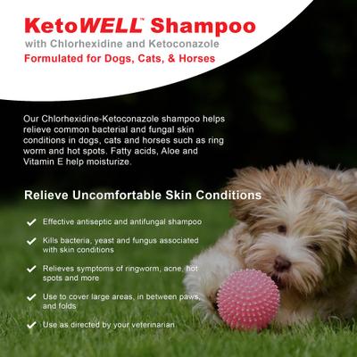 KetoWell Antiseptic Dog, Cat & Horse Shampoo, 16-fl oz bottle