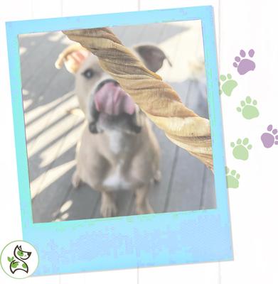 Premium Beef Dog Chew Variety Pack, 18 count