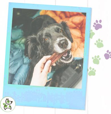 Premium Beef Dog Chew Variety Pack, 18 count