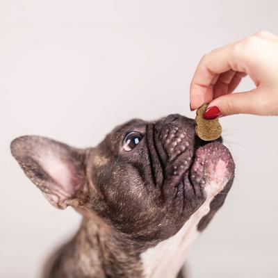 Soft Chew Skin & Coat Supplement for Dogs, 28 Pieces