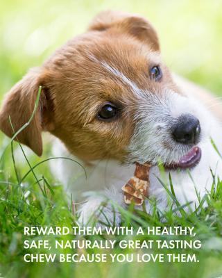 Hide Free Peanut Butter Mini Knot Dog Chew Treat, 12 count