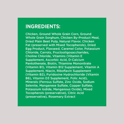 Paquete: Alimento húmedo para perros Iams ProActive Health Classic Ground con pollo y arroz integral + Alimento seco para perros MiniChunks Small Kibble