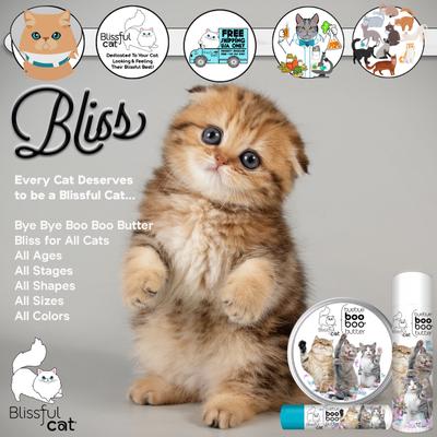 Crema para patas de gato Boo Boo, lata de 2 onzas líquidas