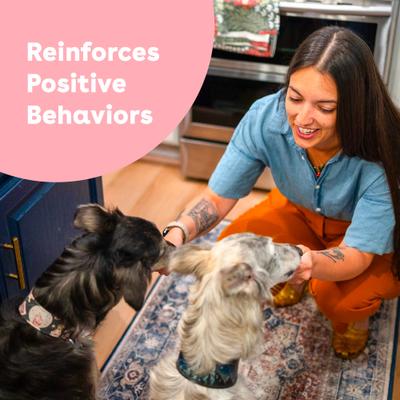 Train Beef Liver Natural Freeze-Dried Dog Treats, 2-oz bag