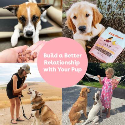 Train Chicken Natural Freeze-Dried Dog Treats, 2-oz bag