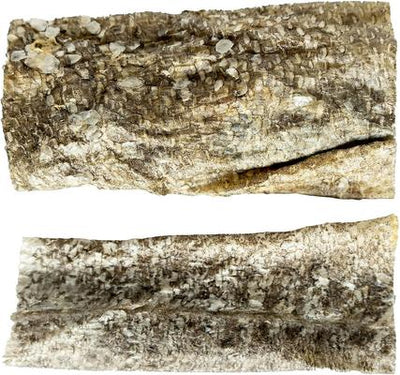 Sydney's Harbour Small Fish Planks Dehydrated Cat & Dog Treat, 2.5-oz bag