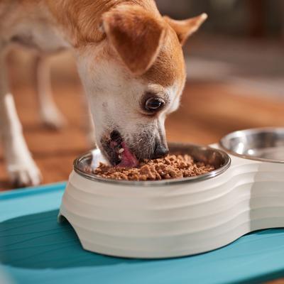 Canine Care Nutrition Digestive Care Loaf in Sauce Canned Dog Food, 13.5-oz can, case of 24