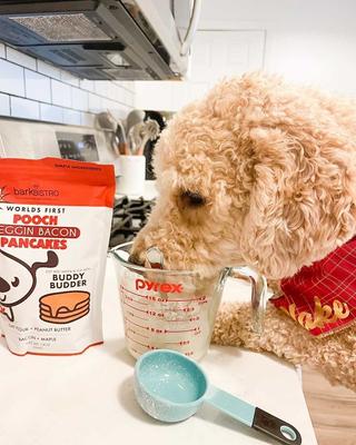 Begging Bacon Pooch Pancakes Mix Dog Soft & Chewy Treats, 14-oz pouch