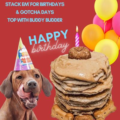 Begging Bacon Pooch Pancakes Mix Dog Soft & Chewy Treats, 14-oz pouch