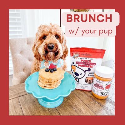 Begging Bacon Pooch Pancakes Mix Dog Soft & Chewy Treats, 14-oz pouch