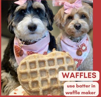 Begging Bacon Pooch Pancakes Mix Dog Soft & Chewy Treats, 14-oz pouch