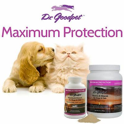 Maximum Protection Vitamins & Minerals Healthy Skin, Coat & Bones Dog & Cat Supplement, 8-oz jar