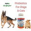 Prebiotics & Probiotics Health & Digestive Support Dog & Cat Supplement, 4-oz jar