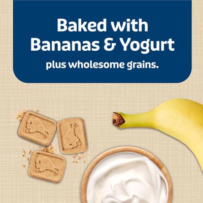 Health Bars Baked with Banana & Yogurt Dog Treats, 16-oz