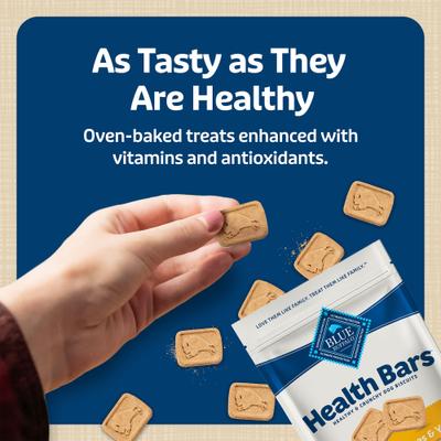 Health Bars Baked with Banana & Yogurt Dog Treats, 16-oz