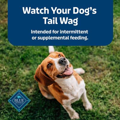 Health Bars Baked with Banana & Yogurt Dog Treats, 16-oz