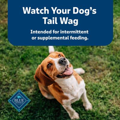 Health Bars Baked with Pumpkin & Cinnamon Dog Treats, 16-oz