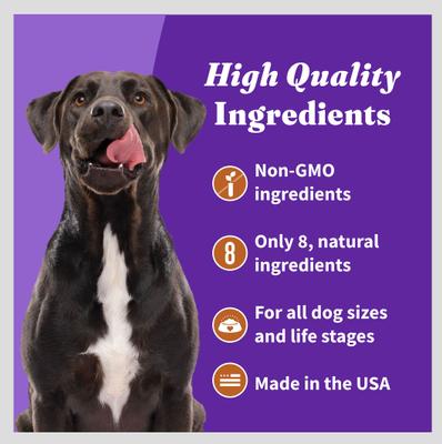 Plant-Based Dog Treats with Peanuts & Pumpkin Vegan Dog Treat, 8-oz