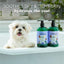 Essentials Soothing Shea Butter Dog Shampoo, 16-fl oz bottle