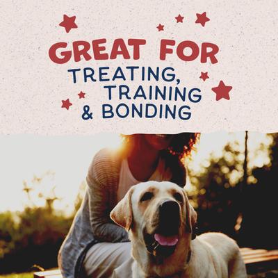 Rewards Bison Flavored Crunchy Biscuit Dog Treats, 14-oz bag